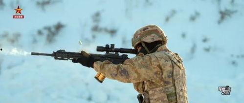 国产56式步枪射击视频,精准射击展现中国军工实力