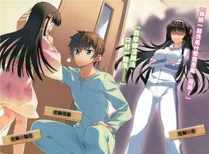 国产轻小说图片视频,视觉盛宴下的青春幻想之旅