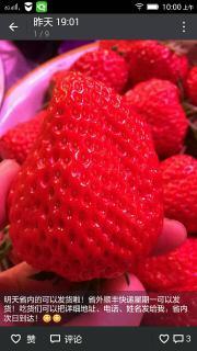 草莓视频国产在线观看