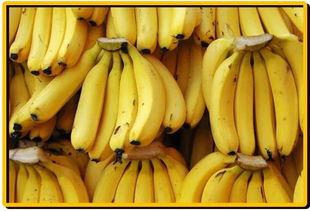 国产大香蕉福利视频,揭秘国内影视产业新趋势 第2张 国产大香蕉福利视频,揭秘国内影视产业新趋势 第2张