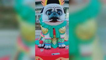 在线看国产小青蛙视频  第3张