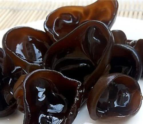 国产黑木耳推荐一下视频