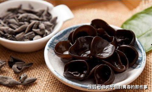 国产黑木耳推荐一下视频  第3张