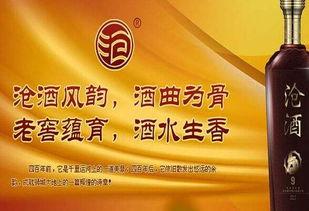国产酒加盟答疑解惑视频  第3张